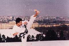 mario-pons-viena-nieve